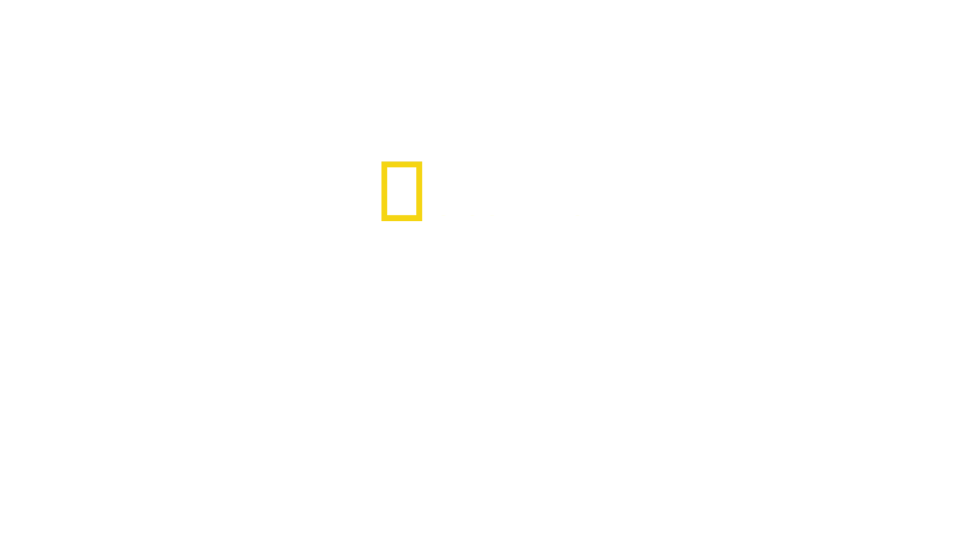 Zászlókészítés - a személyes ügy