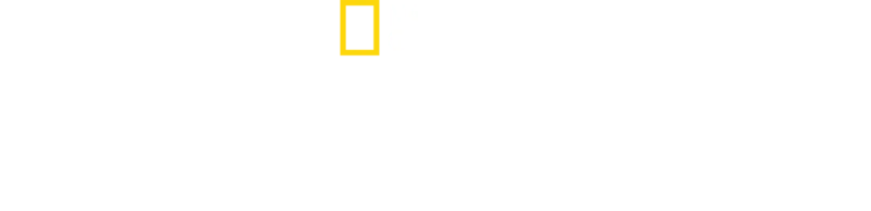 绝命鲨对阵逆戟鲸