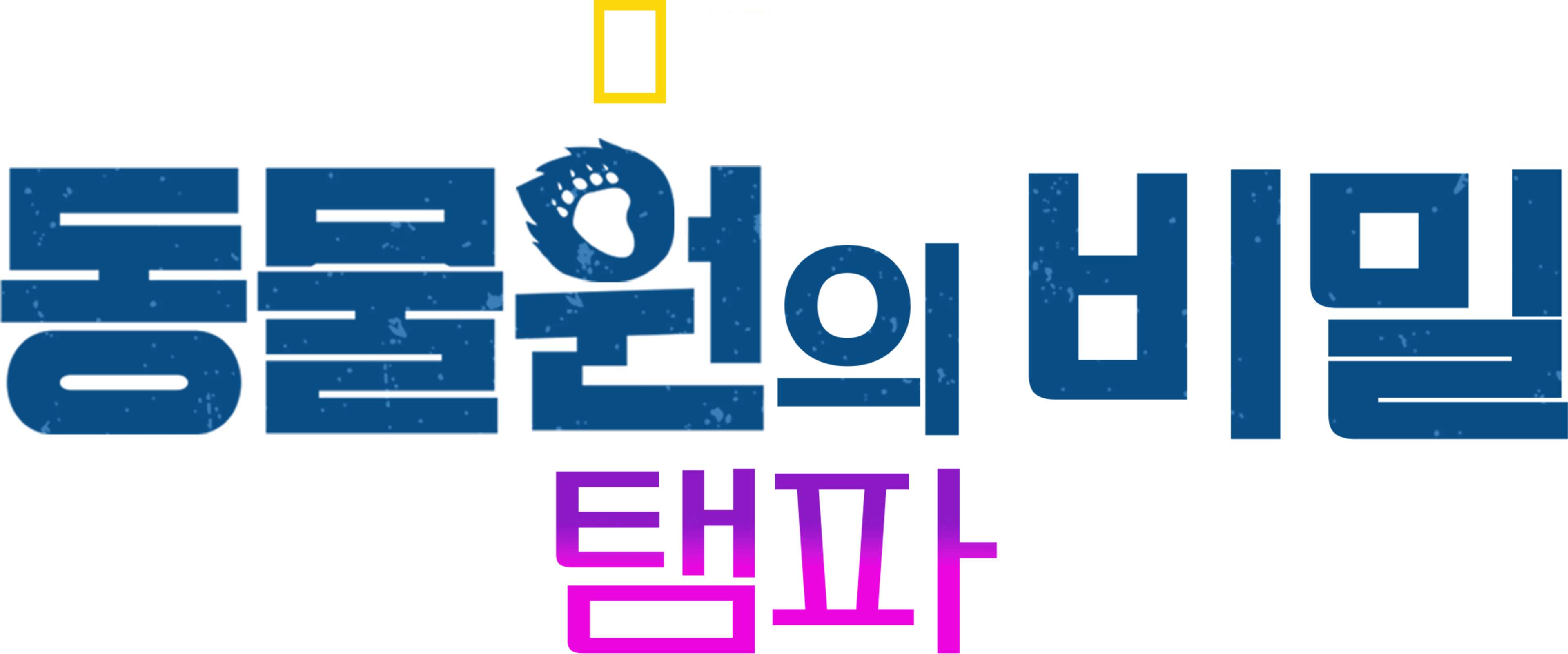 동물원의 비밀: 탬파