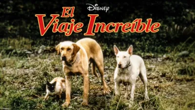 El viaje increíble