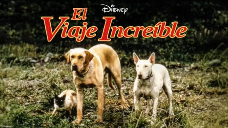 thumbnail - El viaje increíble