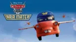 thumbnail - Air Mate