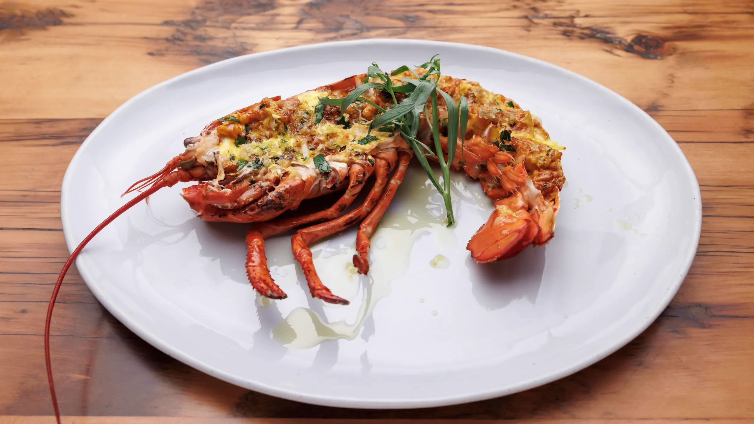 thumbnail - S38:E1 Chopped Takedown