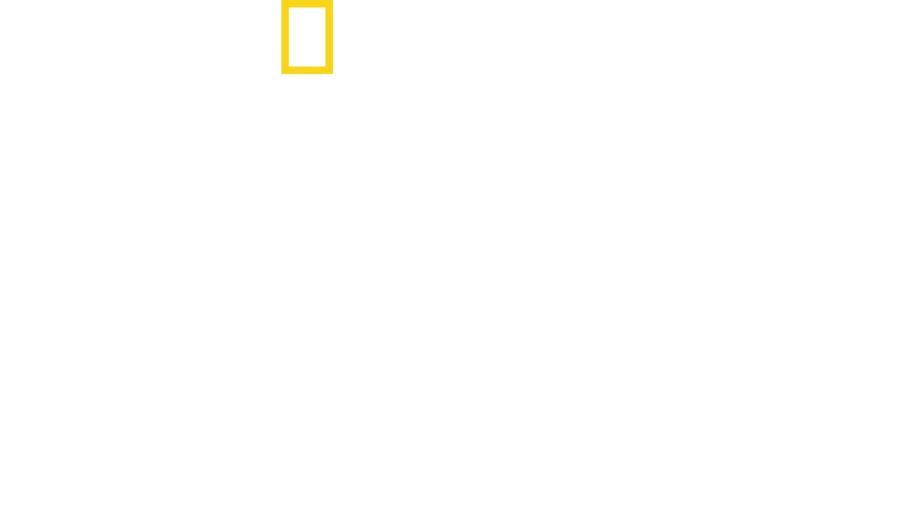 直擊鯊魚攻擊