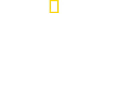 直擊鯊魚攻擊