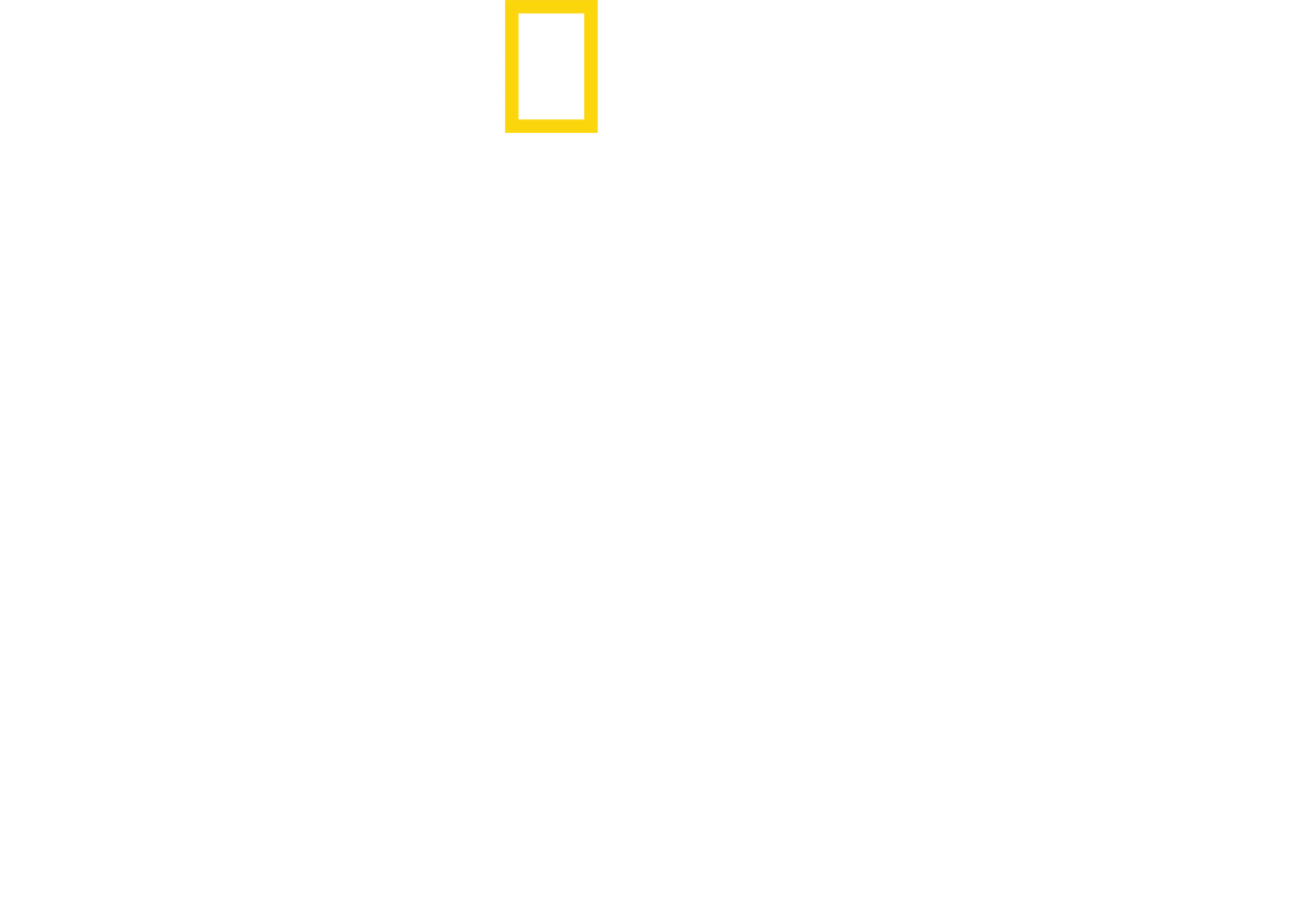直擊鯊魚攻擊