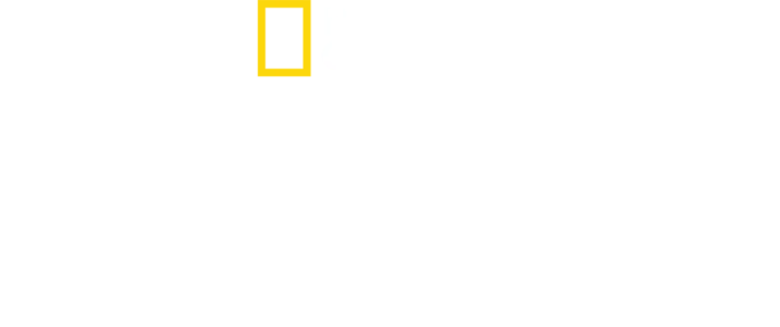 Albert Lin ile Kayıp Şehirler