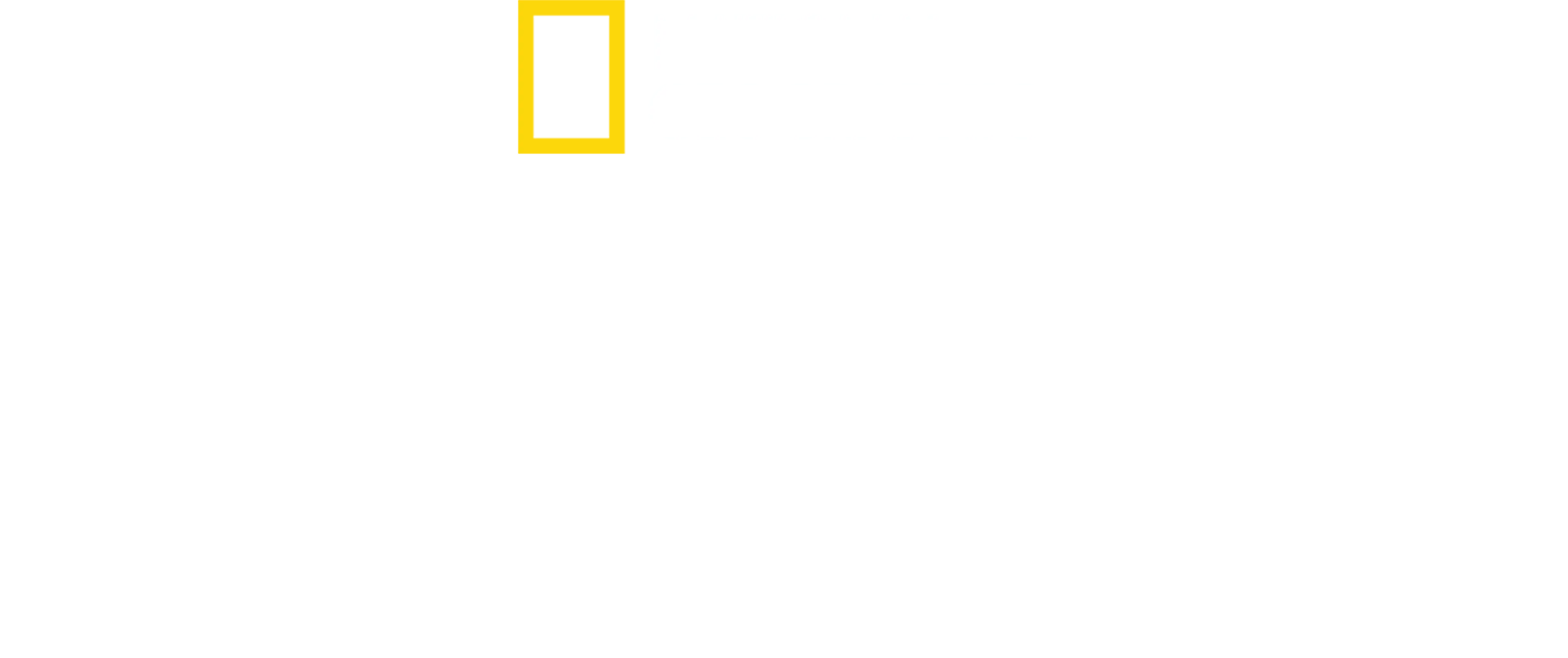 Albert Lin ile Kayıp Şehirler