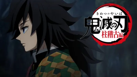 thumbnail - テレビアニメ「鬼滅の刃」柱稽古編