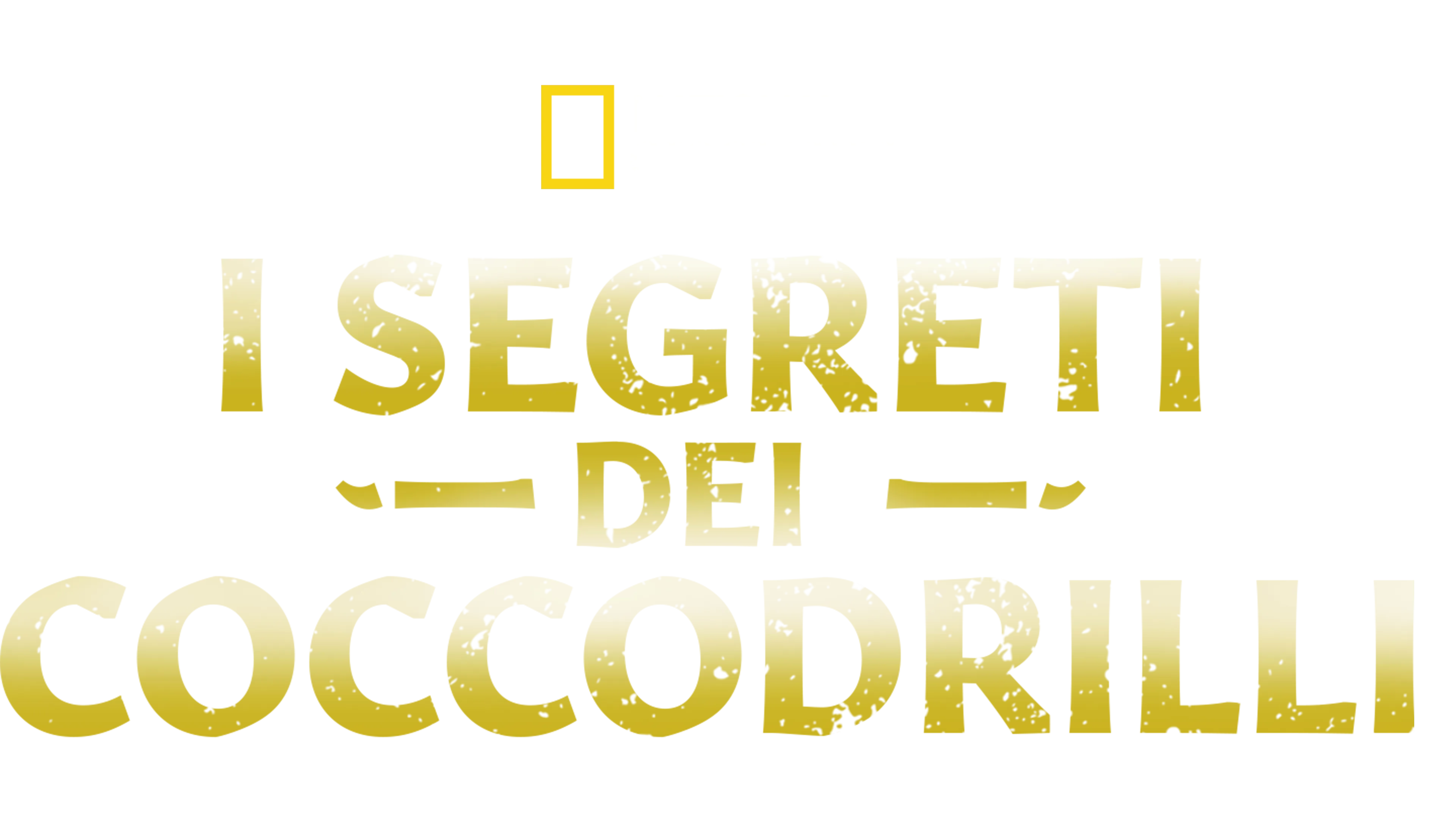 I segreti dei coccodrilli