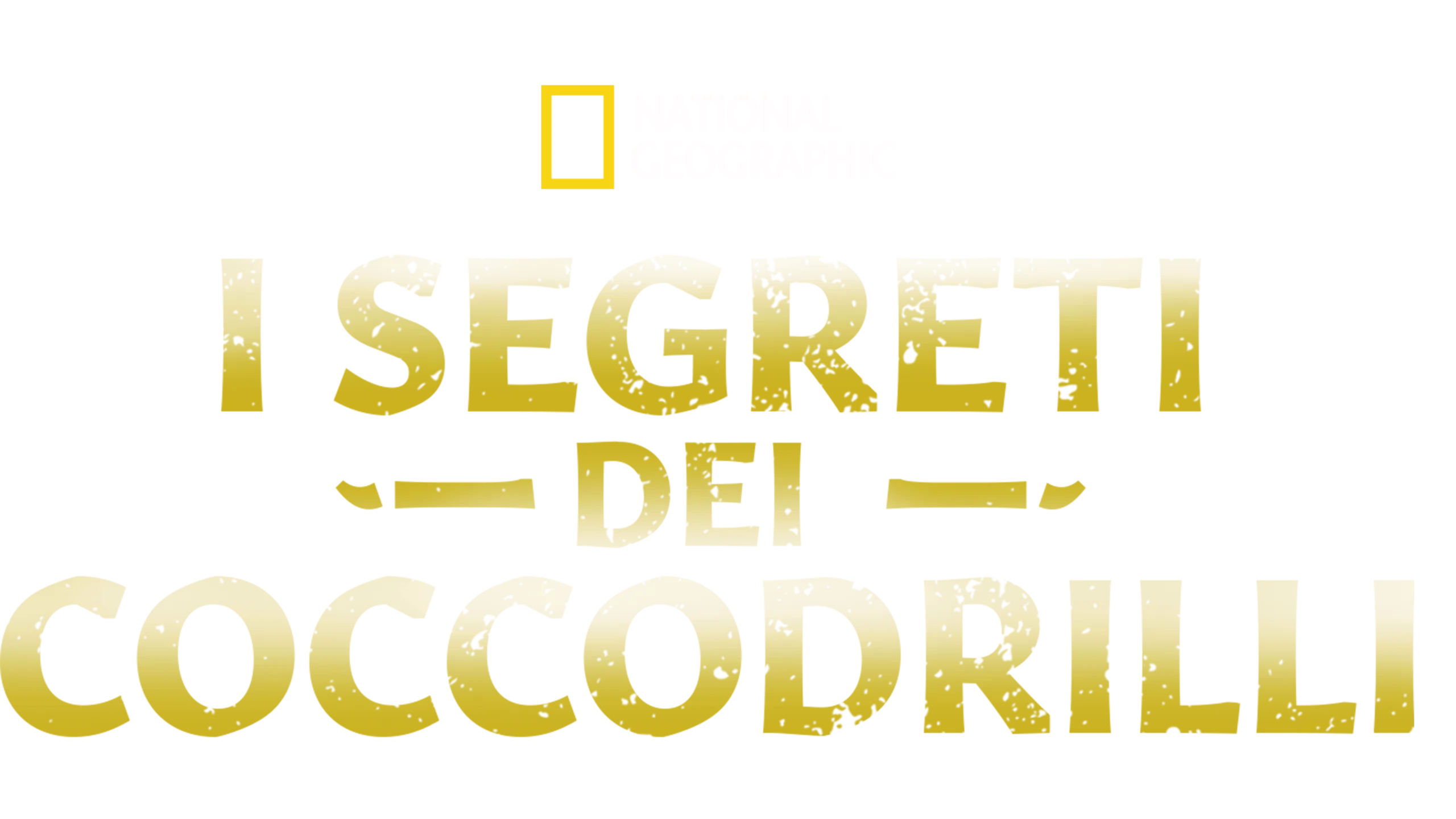 I segreti dei coccodrilli