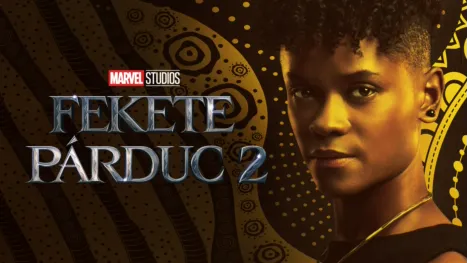 thumbnail - Fekete Párduc 2.