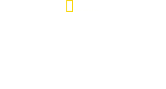 ジェーン