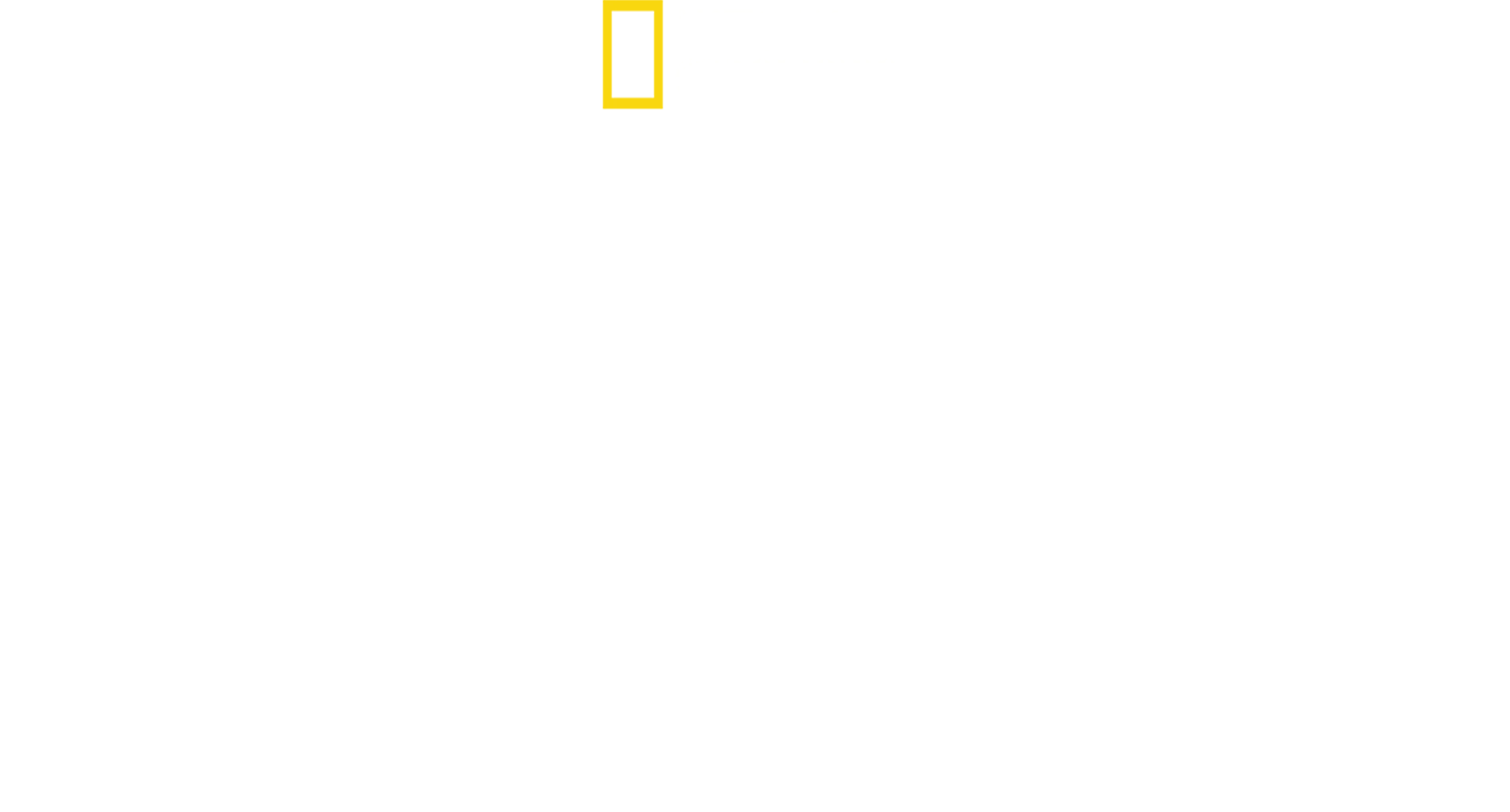 ジェーン