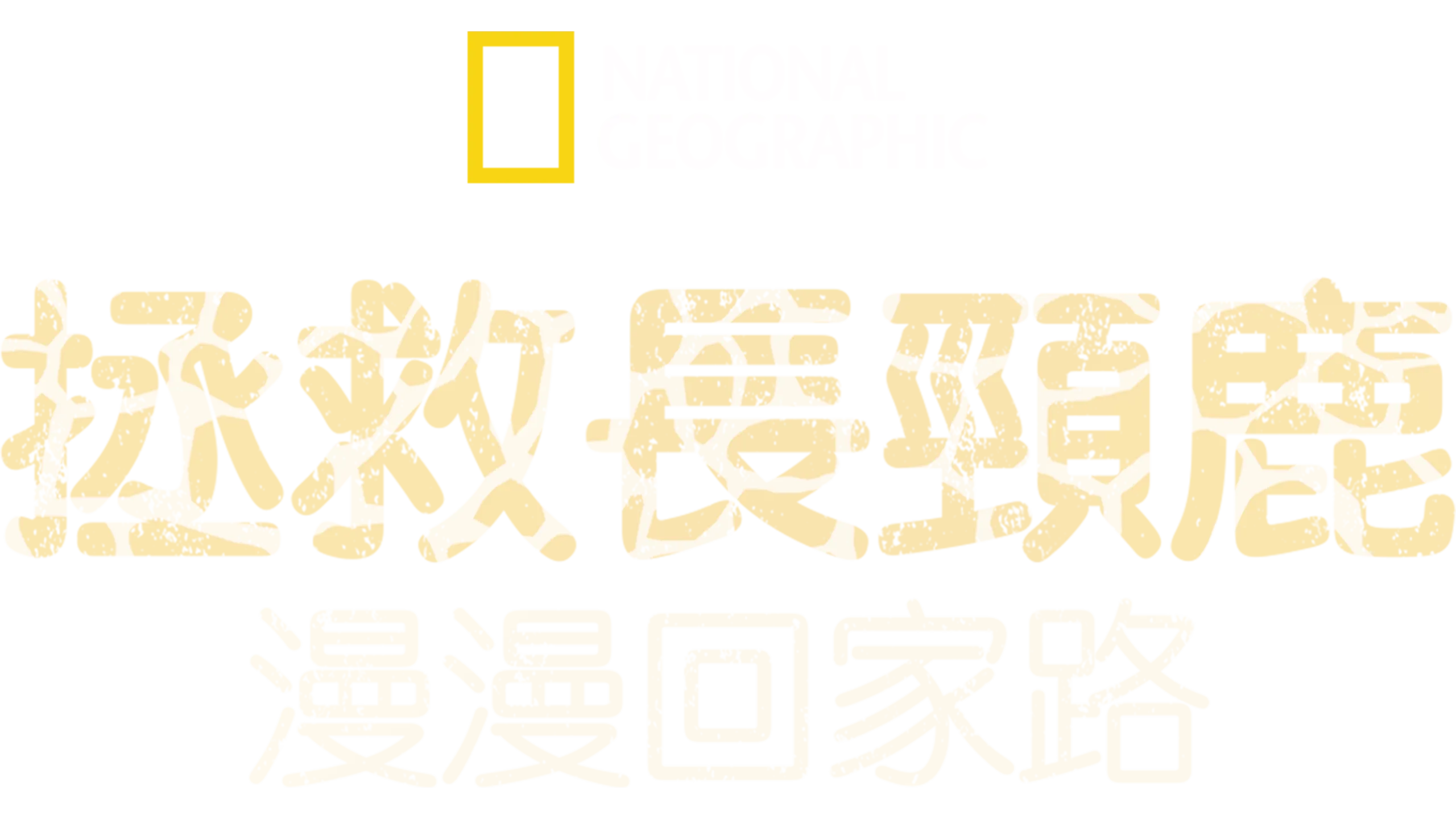 拯救長頸鹿：漫漫回家路