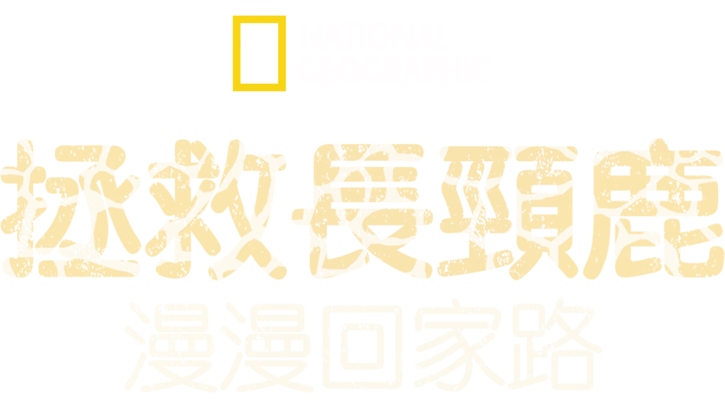 拯救長頸鹿：漫漫回家路