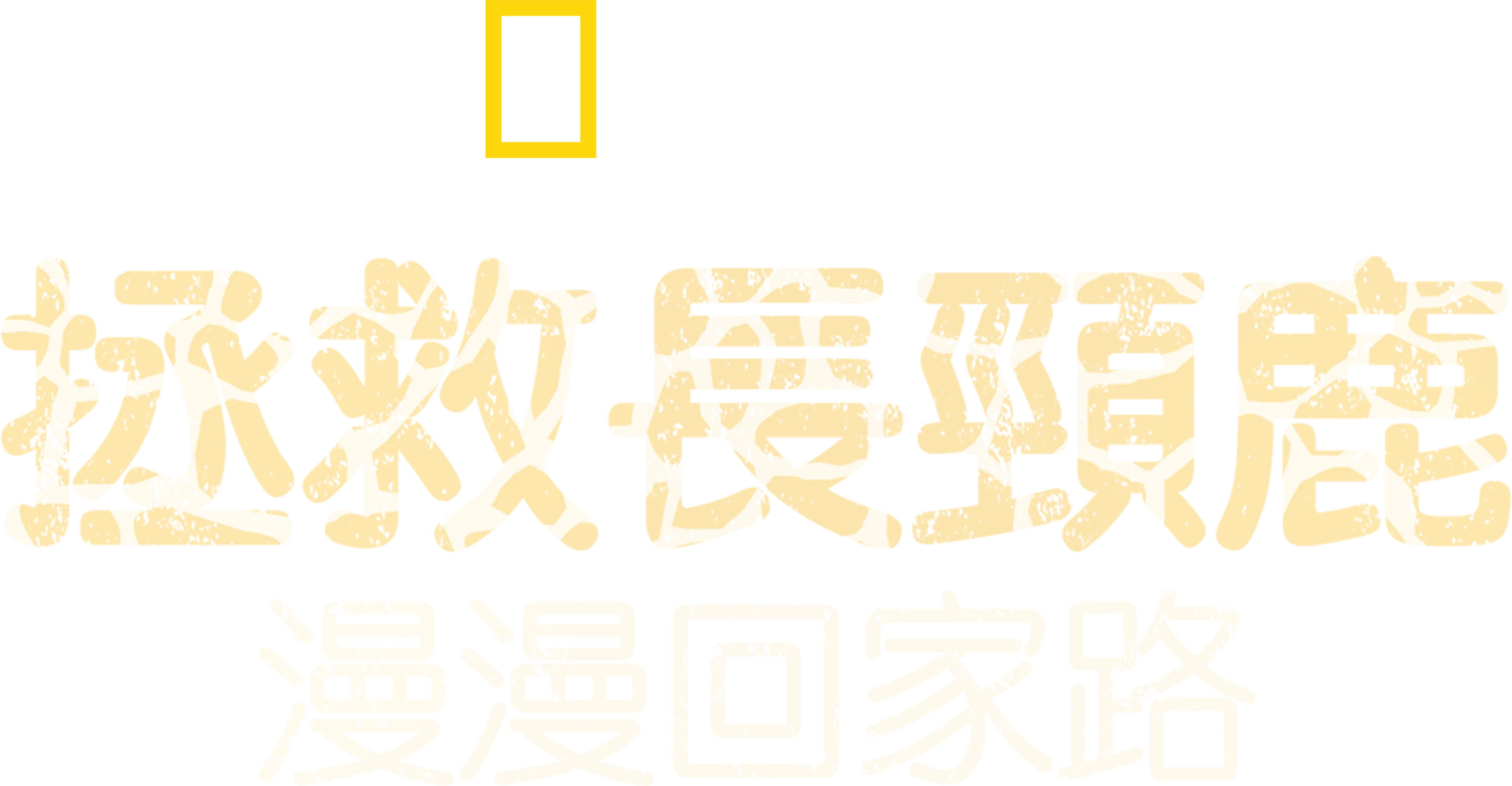 拯救長頸鹿：漫漫回家路