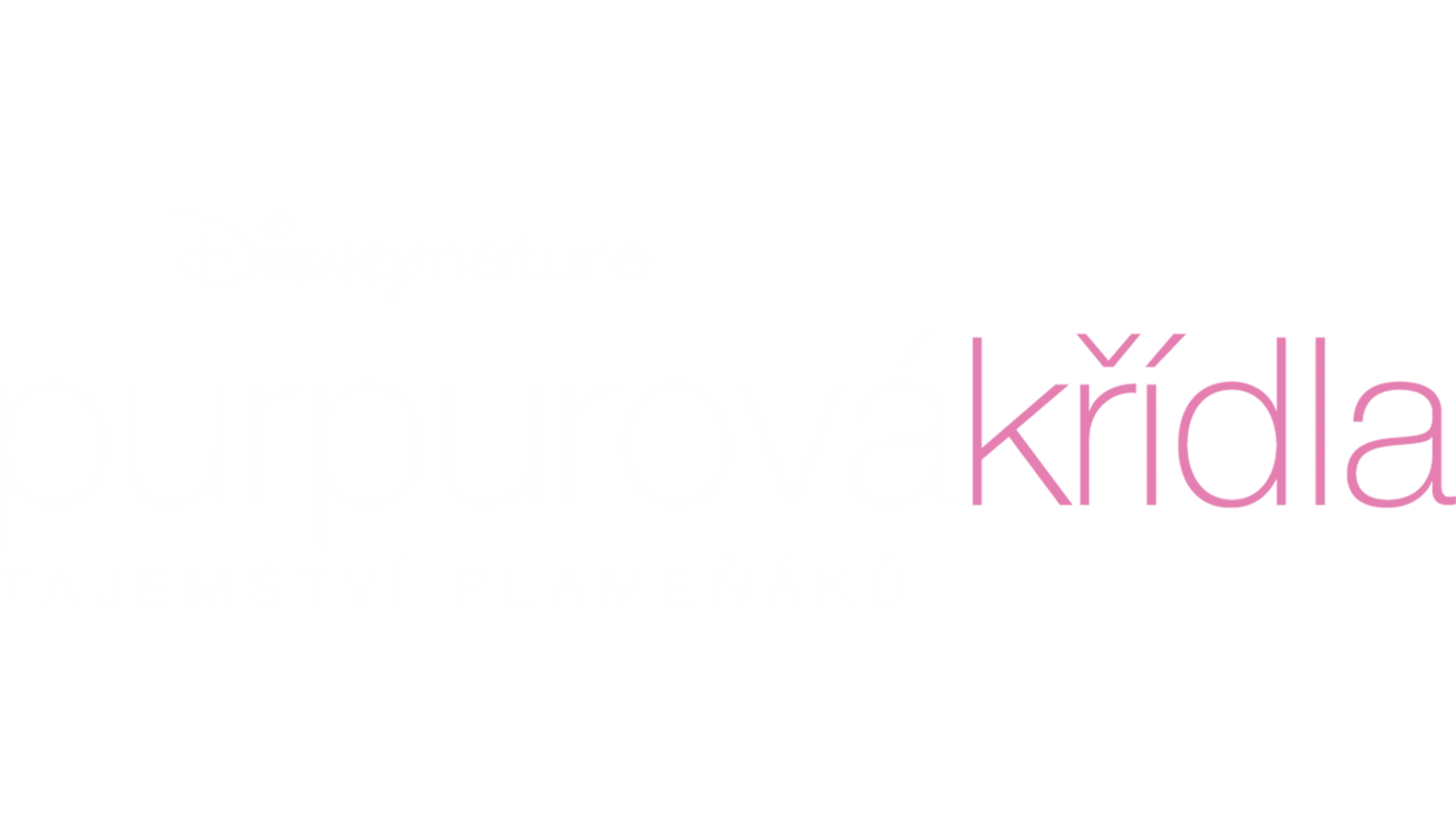 Purpurová křídla, tajemství plameňáků