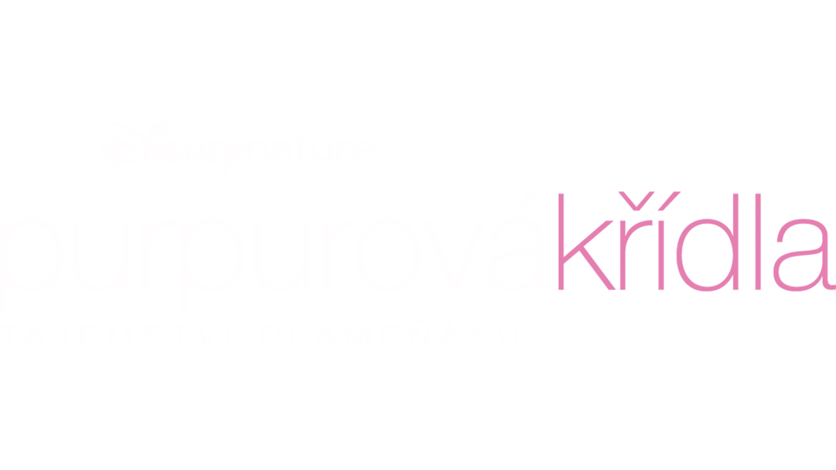 Purpurová křídla, tajemství plameňáků