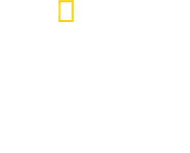 Tucci v Itálii
