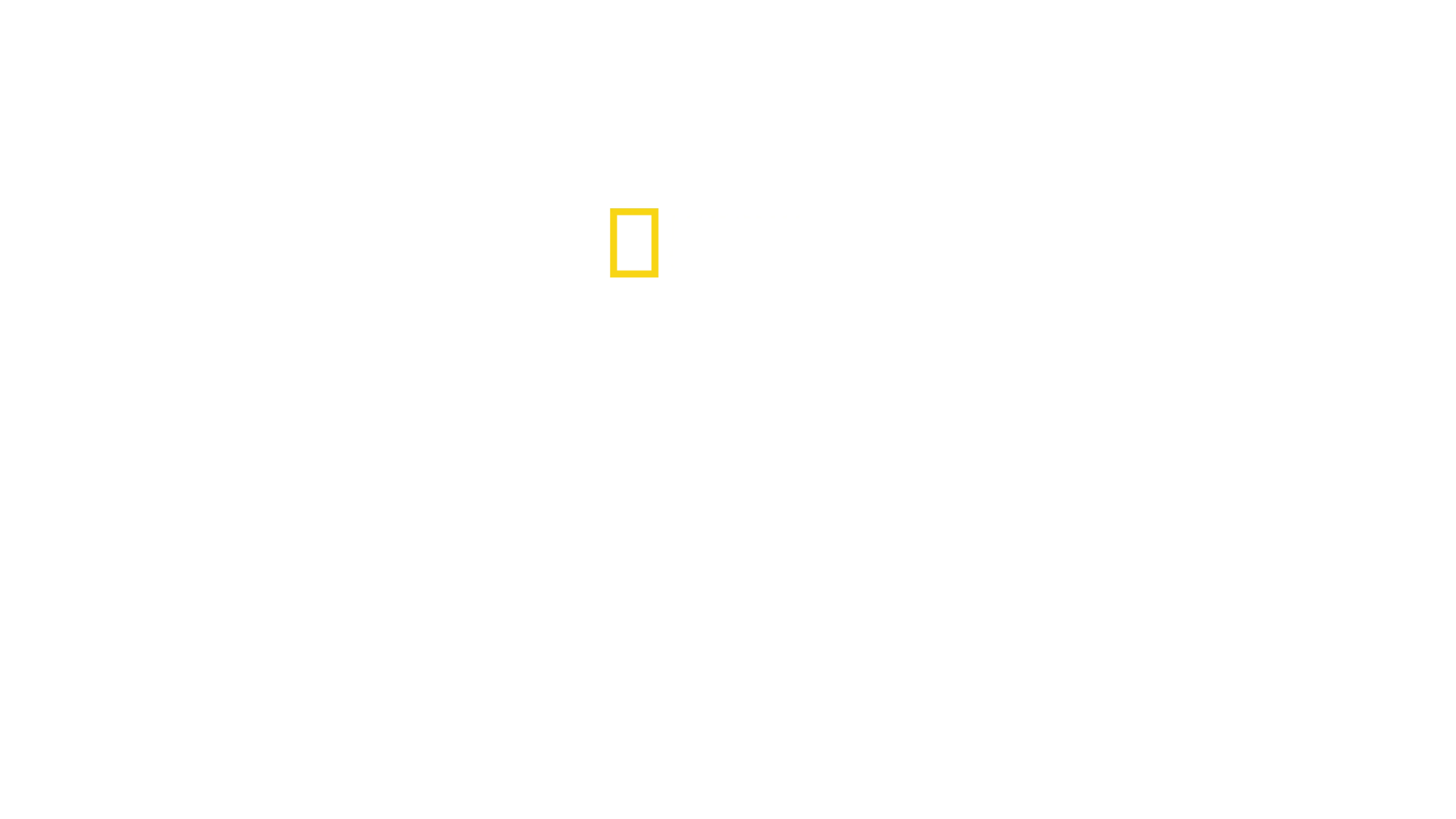 Köpekbalıkları Saldırınca