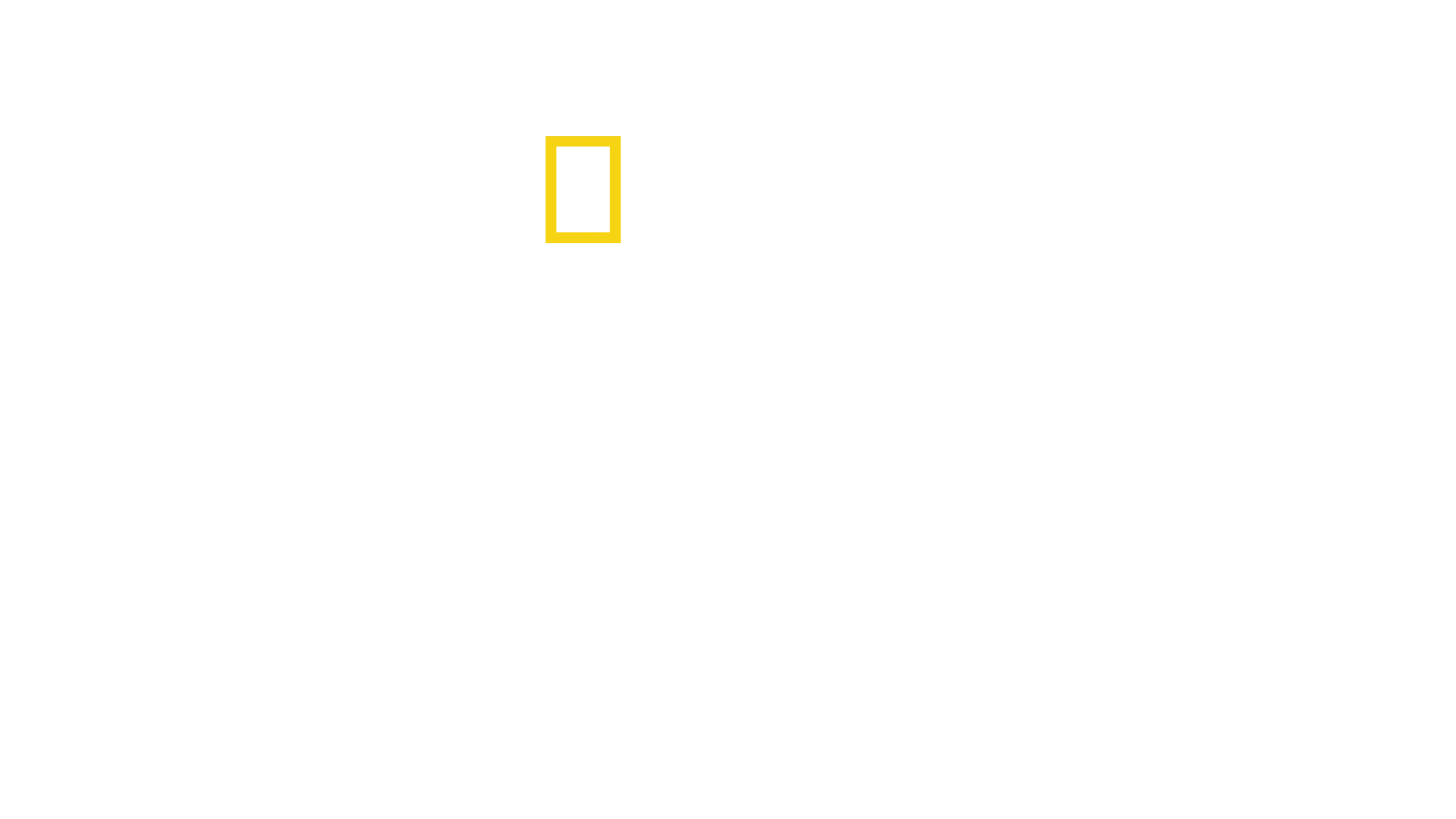 Vyšetřování leteckých neštěstí