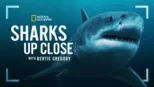 thumbnail - Sharks Up Close with Bertie Gregory