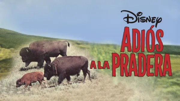 thumbnail - Adiós a la Pradera