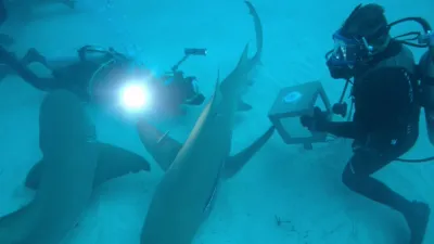 thumbnail - S2:E7 Unusual Suspects