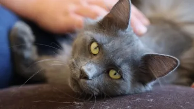 thumbnail - S1:E1 Duck and Cover