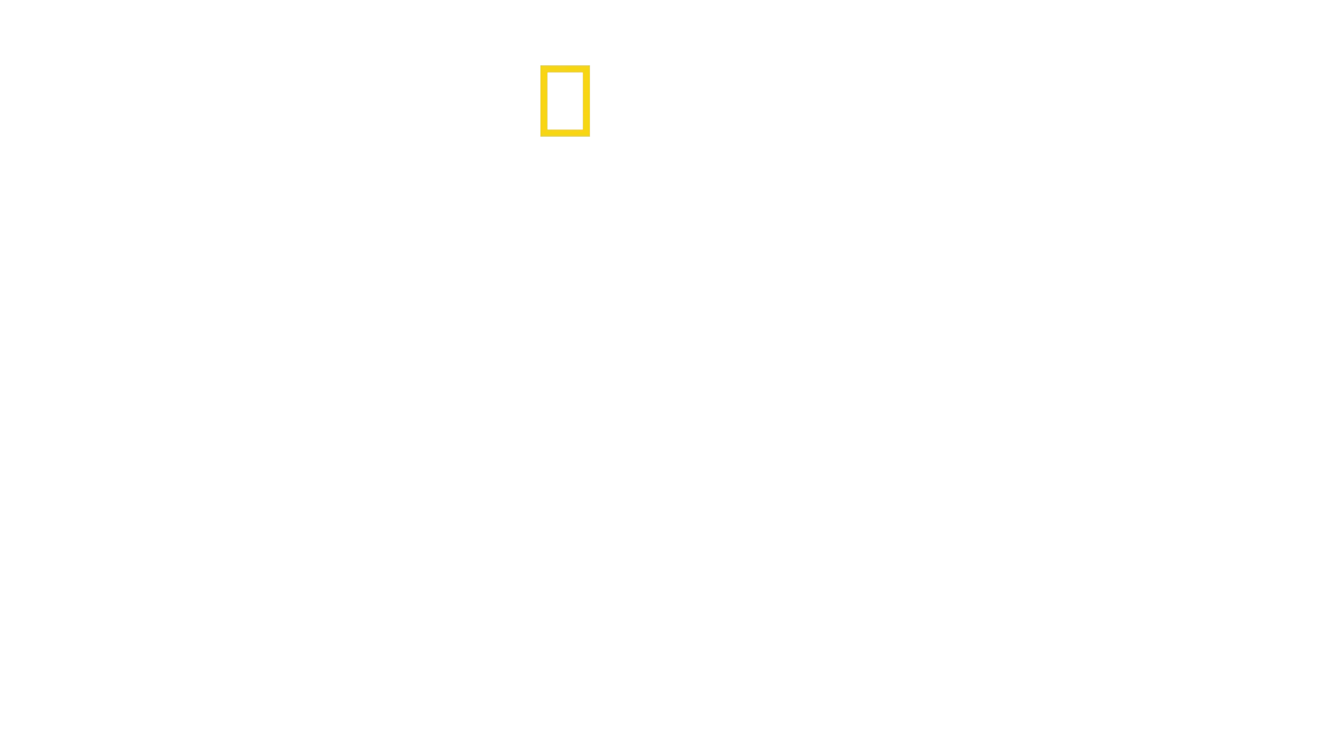 Måltid för hajar