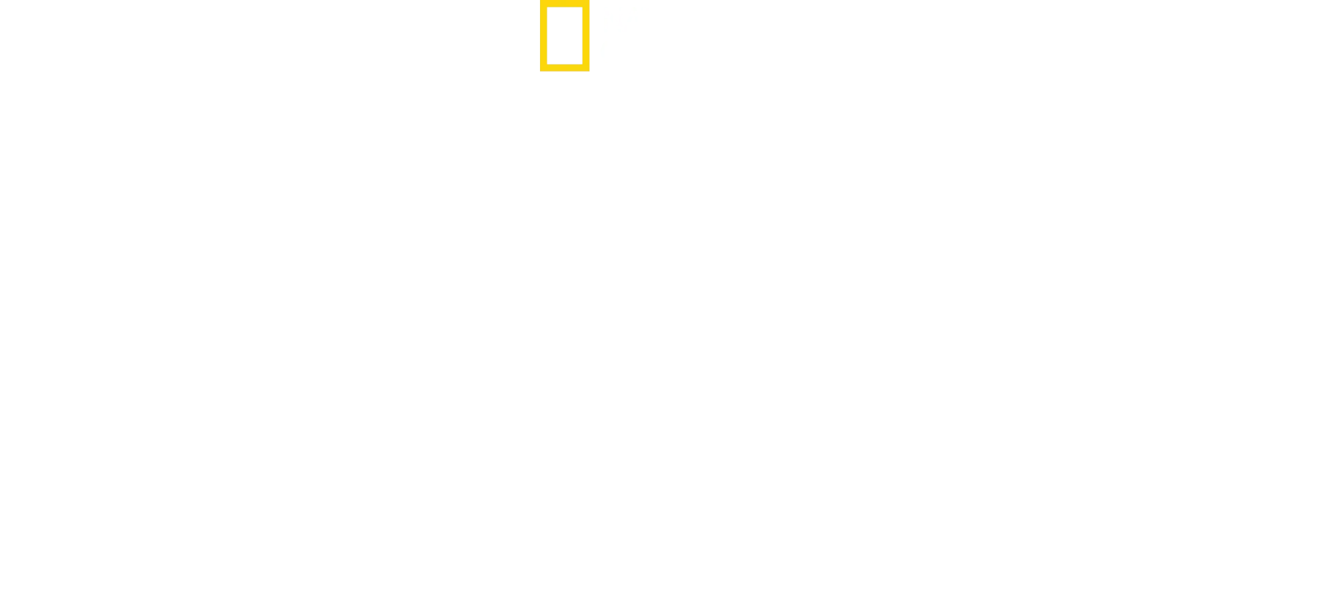 Måltid för hajar