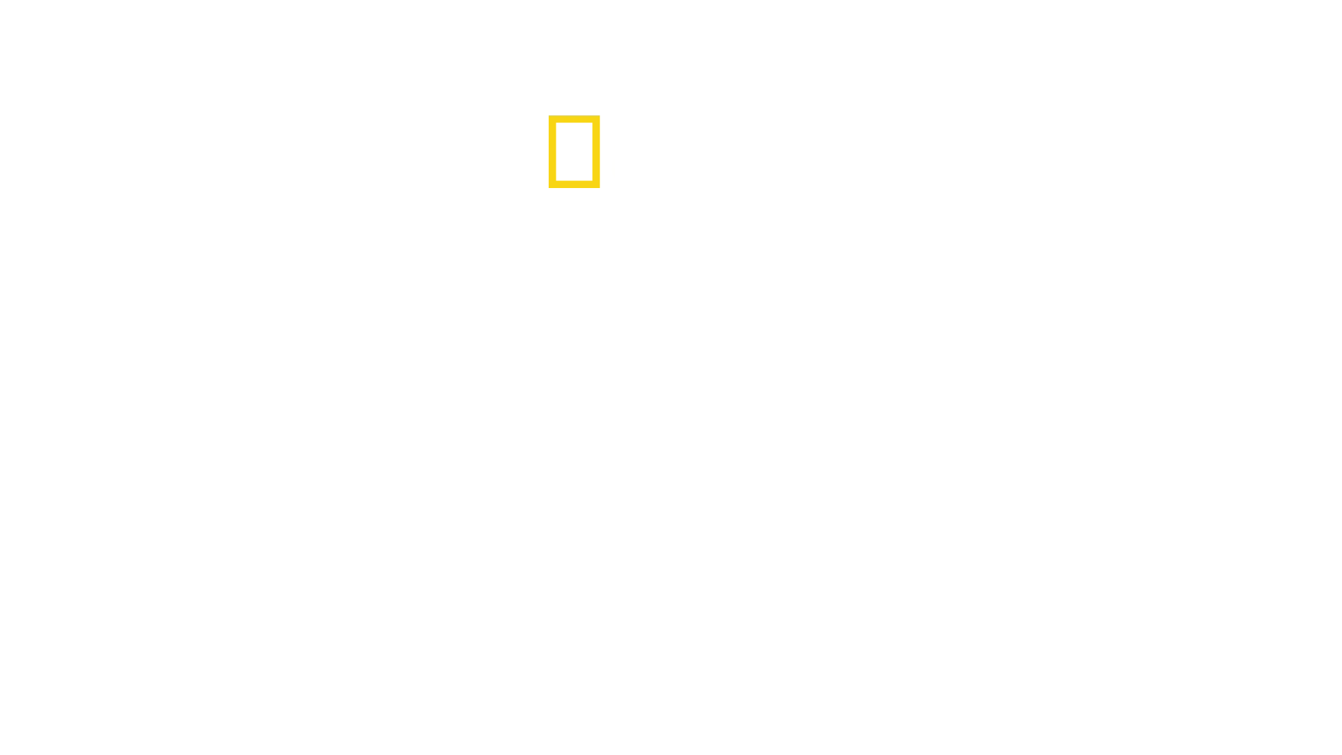 Elisabeth II: Elämä kuningattarena