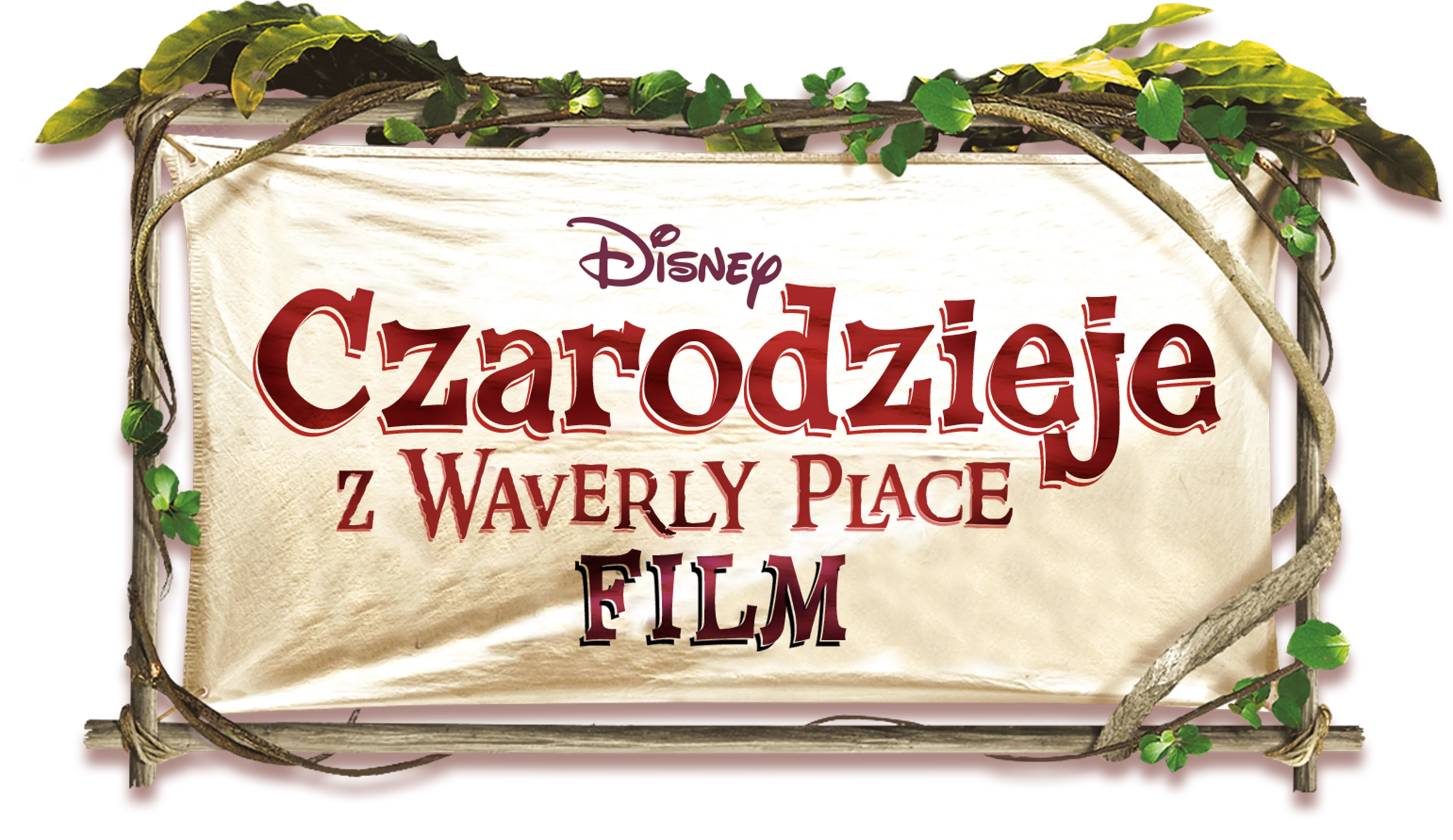 Czarodzieje z Waverly Place: Film