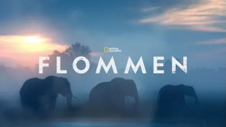thumbnail - Flommen