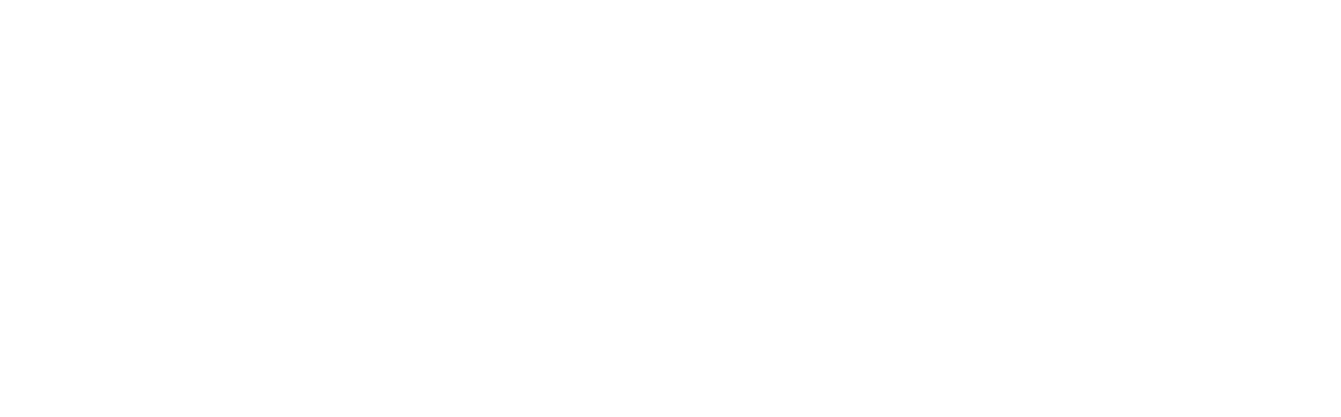Os Elefantes