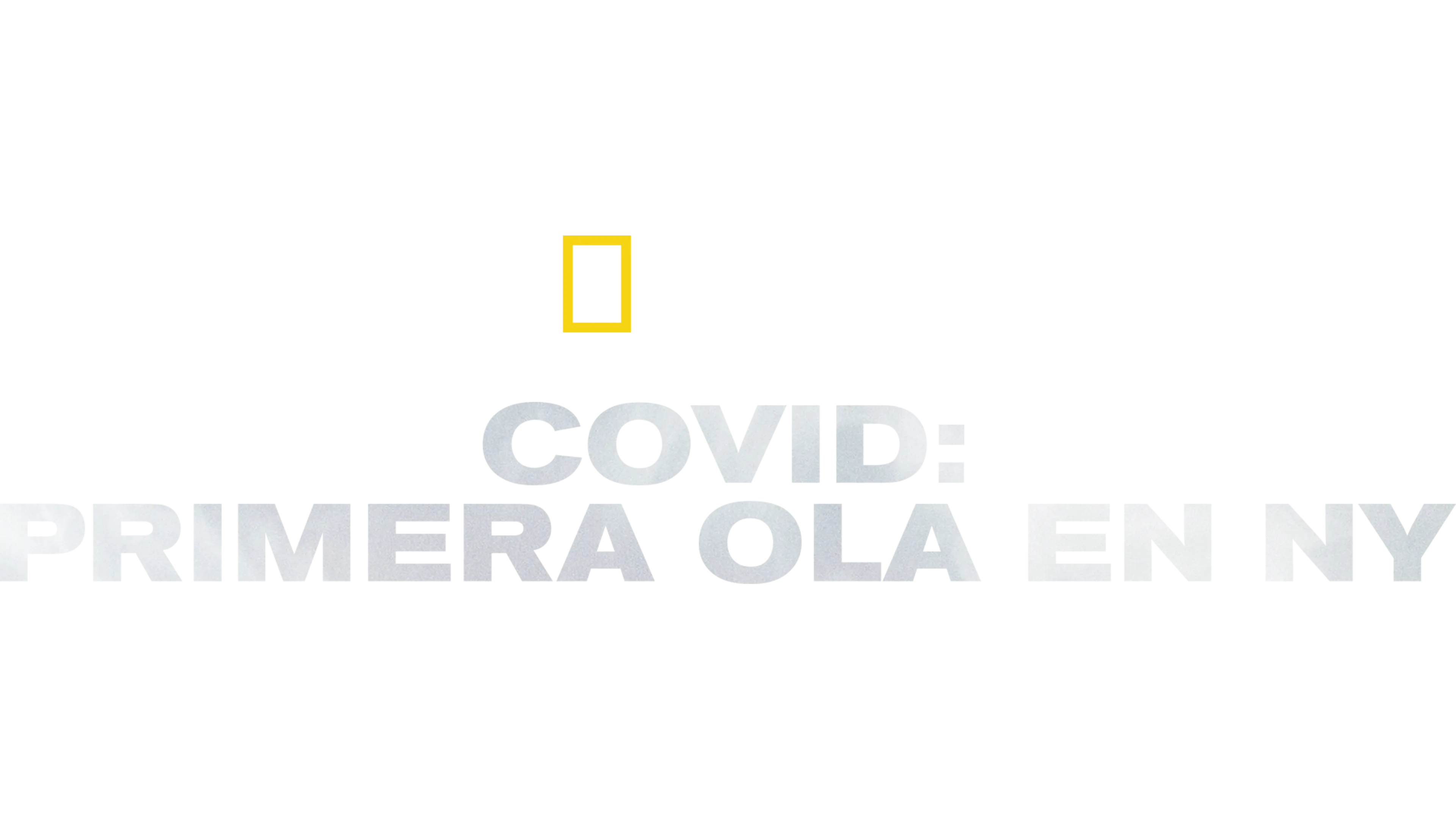 Covid: Primera ola en NY