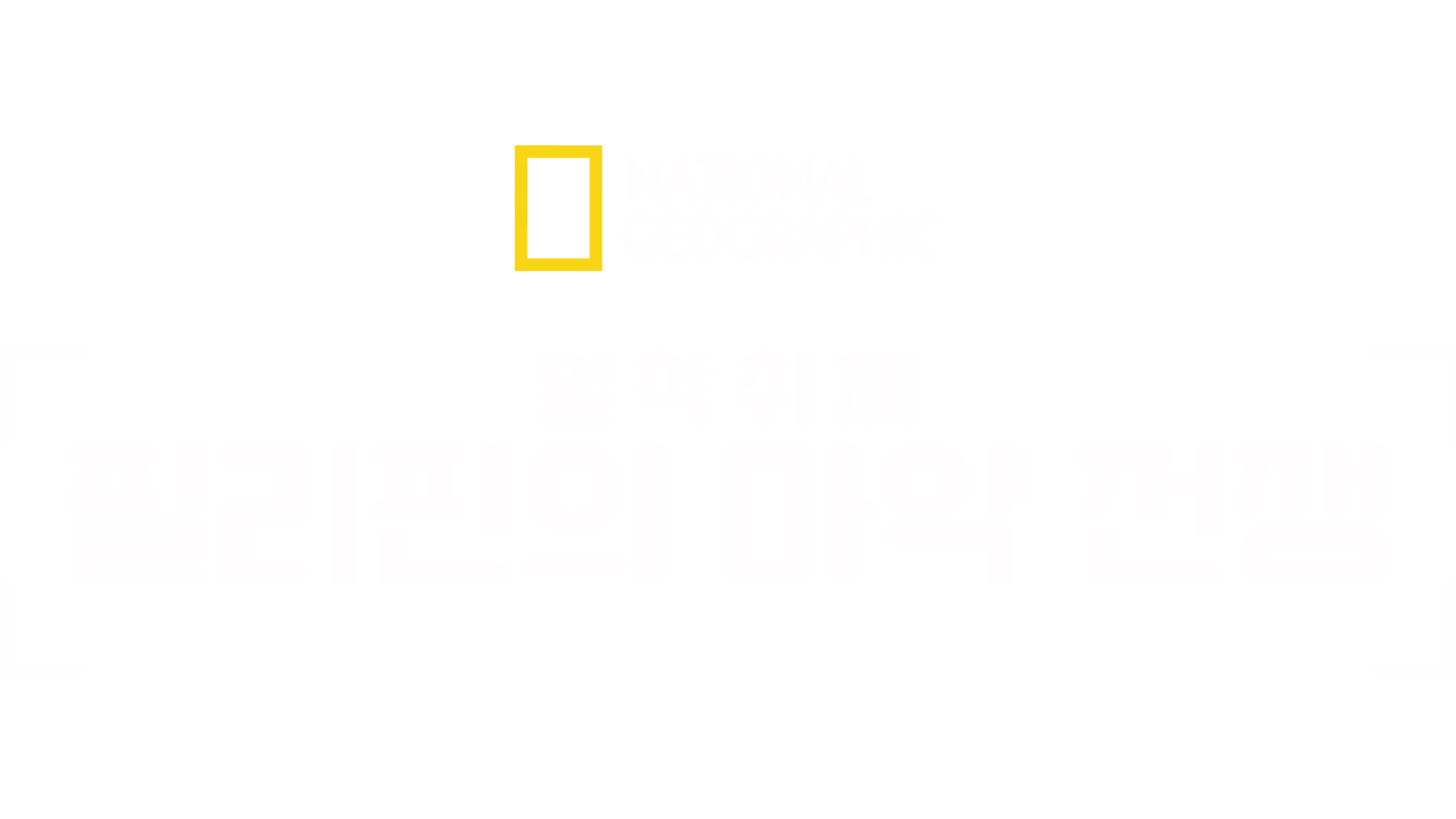 밀착취재: 필리핀의 마약 전쟁