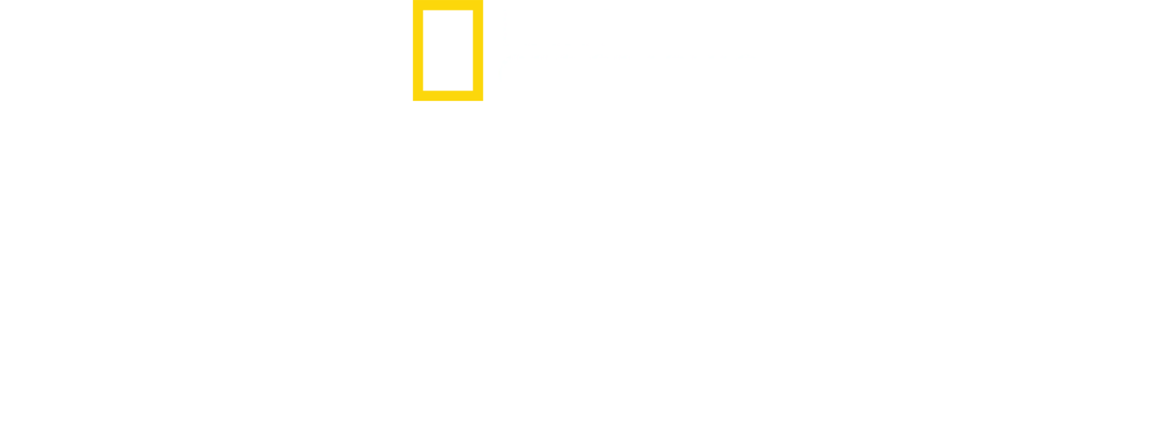 밀착취재: 필리핀의 마약 전쟁