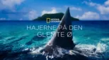 thumbnail - Hajerne på den glemte ø