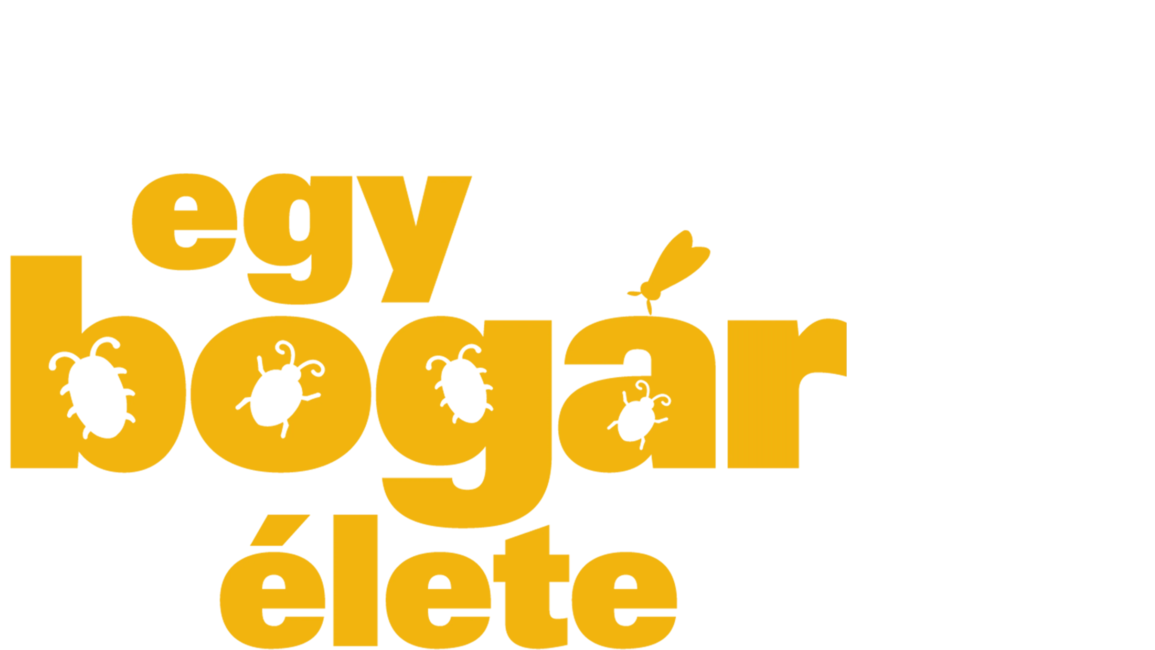Egy bogár élete