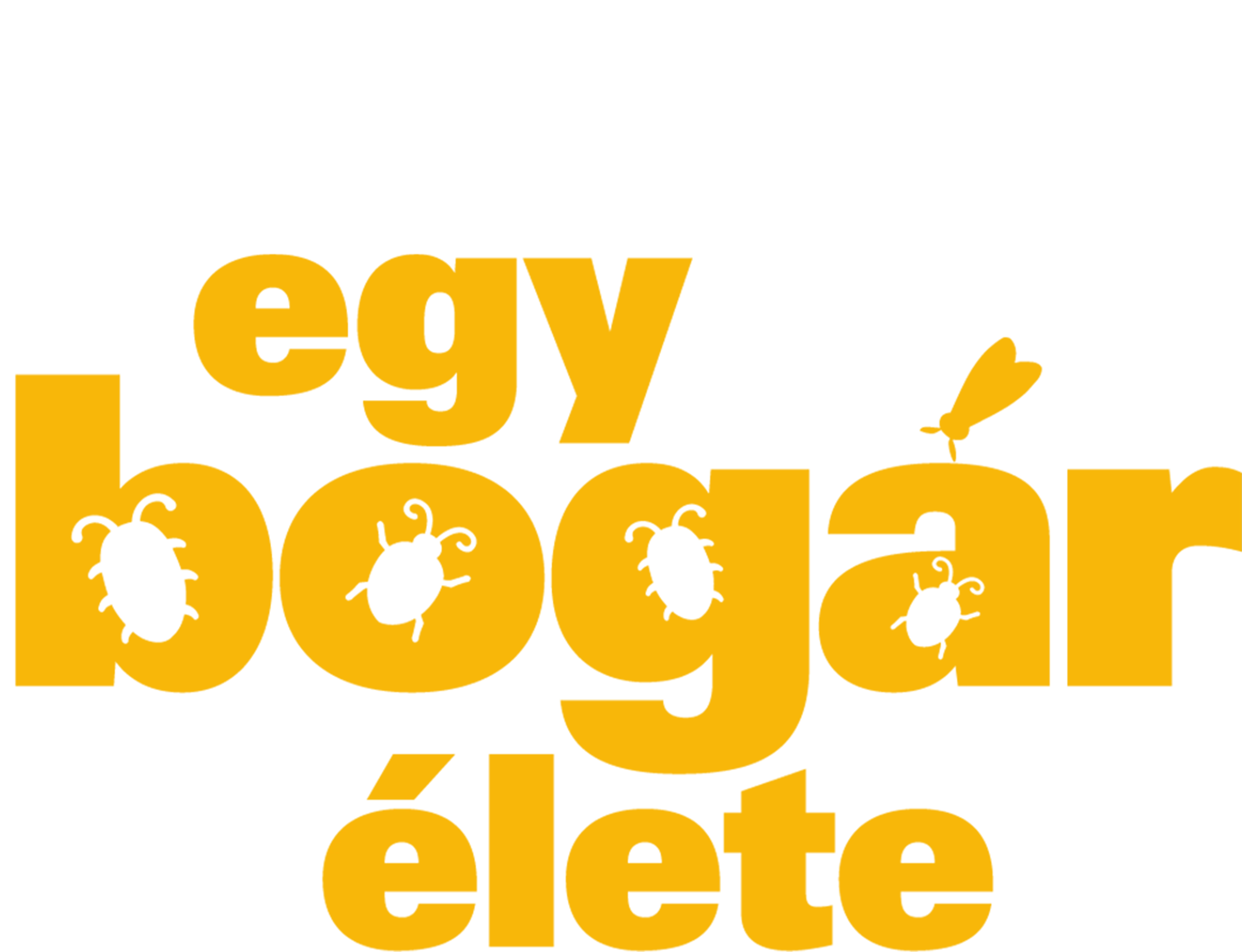 Egy bogár élete