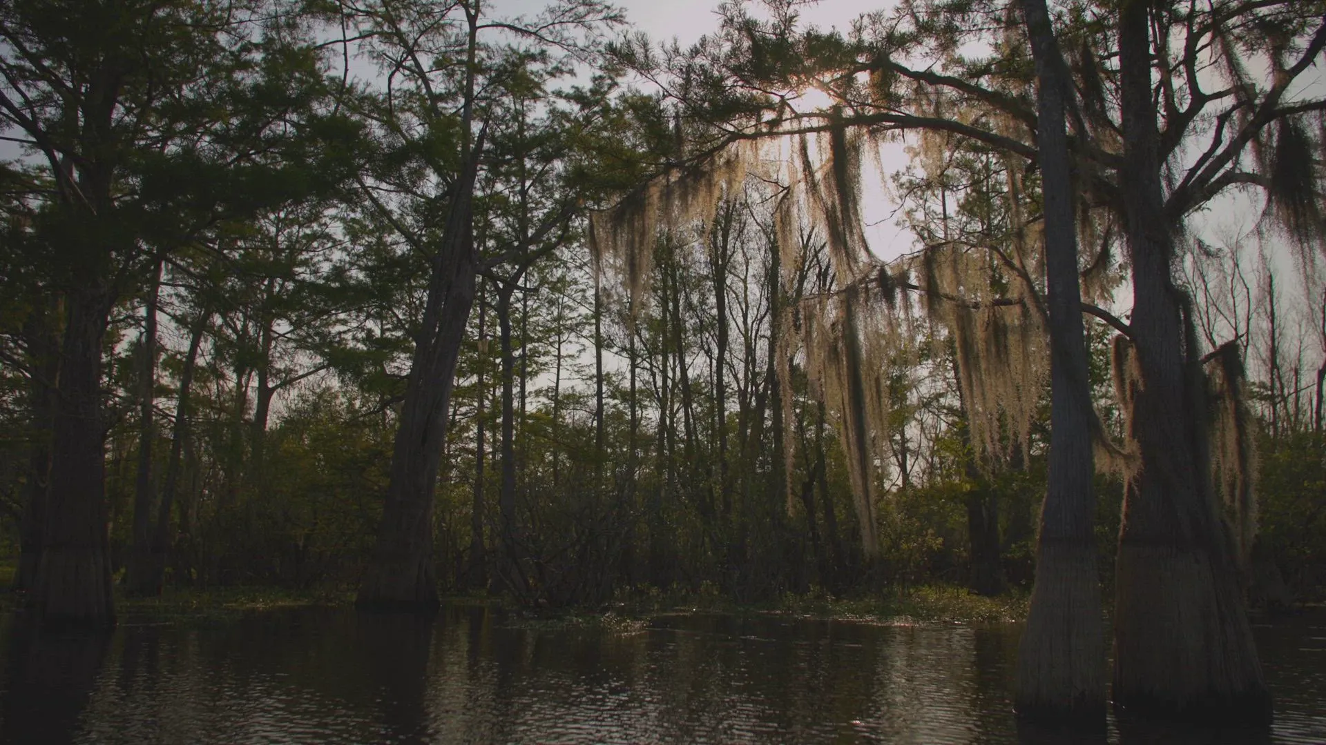 thumbnail - S1:E6 Monster in Bayou Pigeon
