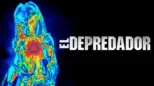thumbnail - El Depredador
