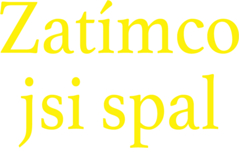 Zatímco jsi spal