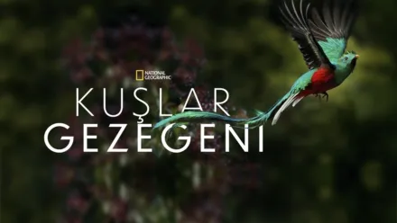 thumbnail - Kuşlar Gezegeni