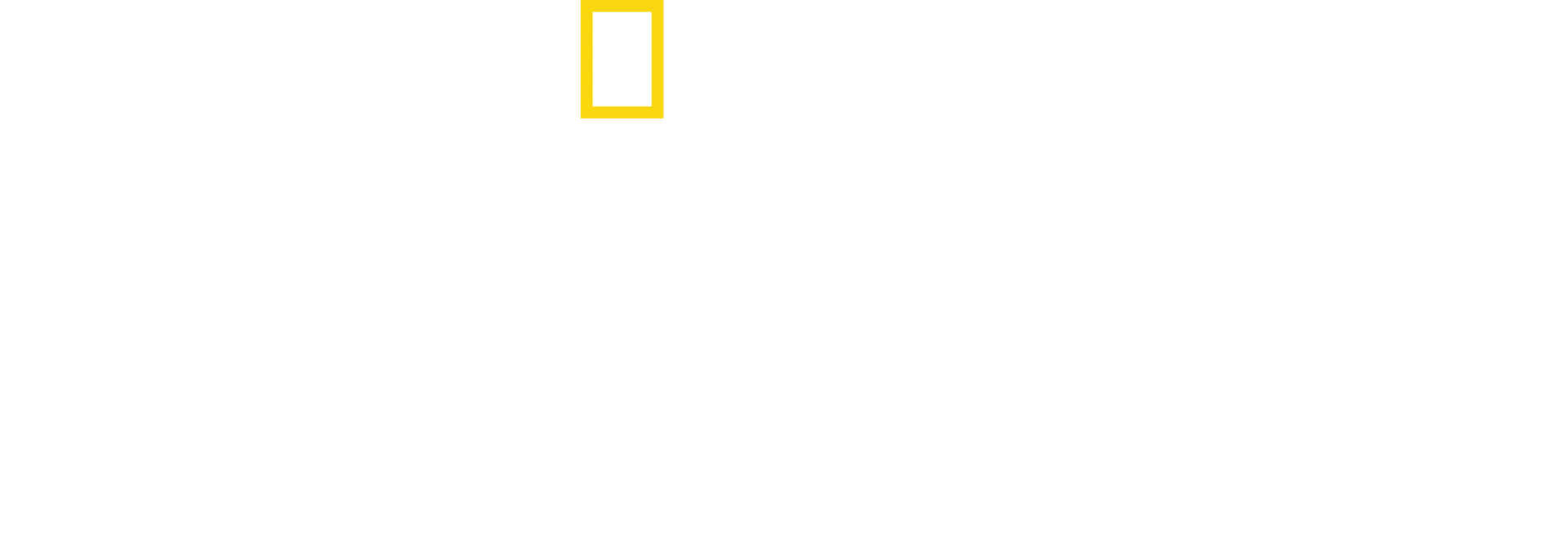 Salakaupan julmat kasvot