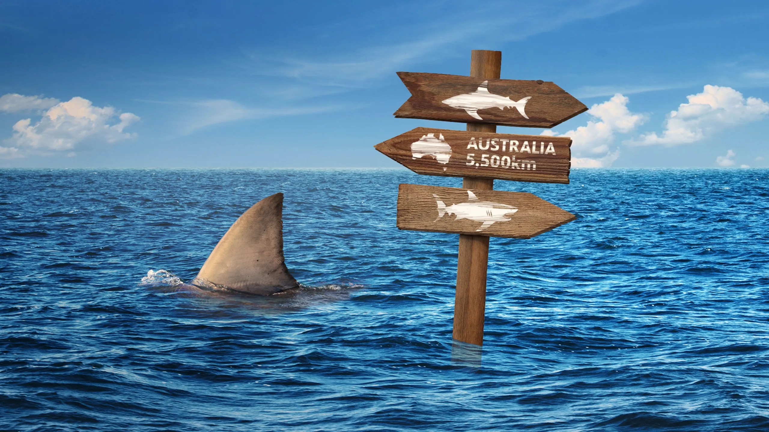 Súper autopista de tiburones