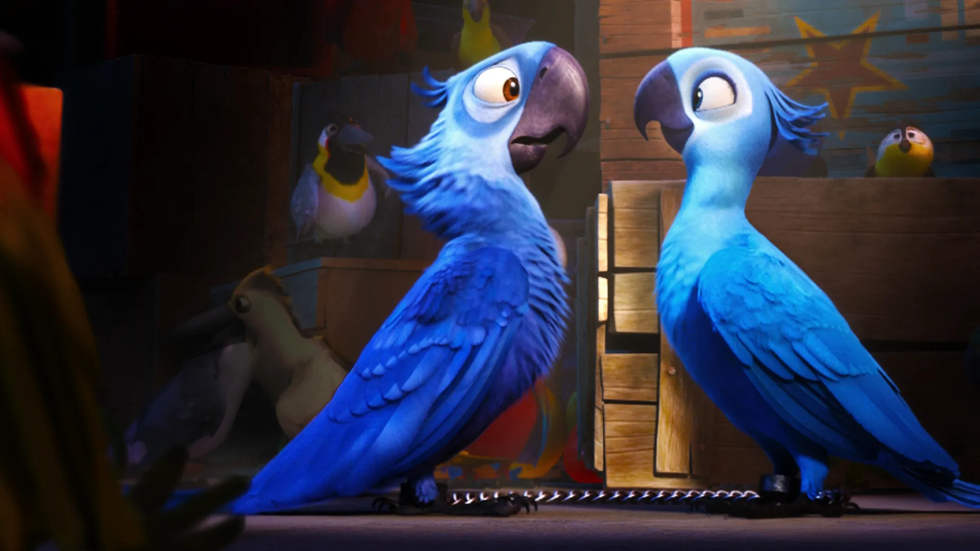 Blu (voice of Jesse Eisenberg) and Jewel (voice of Anne Hathaway) in Rio.