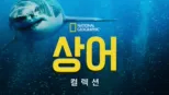 thumbnail - 내셔널지오그래픽 상어
